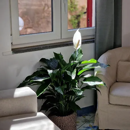 Vico Di Mare Appartement *